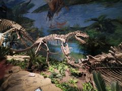 -自贡恐龙博物馆