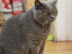 -Rabbit Cafe私房西餐甜点咖啡(栖霞路店)