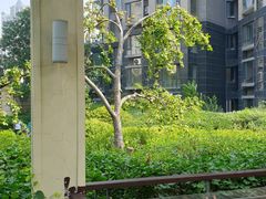 -绿茶餐厅(燕郊永旺店)