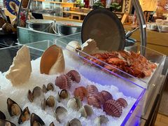 -视界美食自助餐厅·石家庄希尔顿酒店