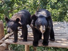 -济南野生动物世界