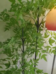 -变美丽半永久纹眉连锁·机器野生眉•洗眉