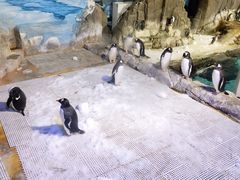 -成都浩海立方海洋公园