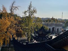 -上海东林寺(金山区)