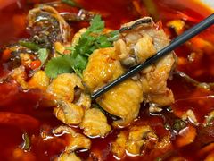 -陈麻婆豆腐(旗舰店)