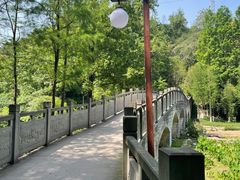 -重庆彩云湖湿地公园