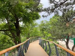 -白水寺森林公园