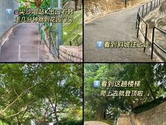 -讯号山花园