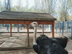 -长白岛森林公园