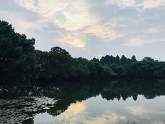 -西湖游船