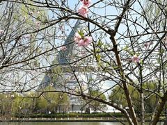 -上海市第一人民医院(松江南部)