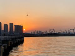 -东港音乐喷泉广场