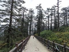 -瓦屋山景区
