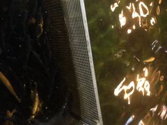 -京北渔家傲