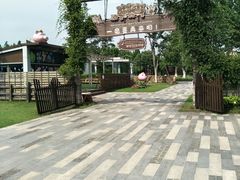 -田园东方蜜桃村的田野营地