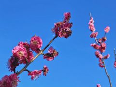 -蜀冈西峰生态公园