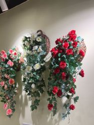 -变美丽半永久纹眉连锁·机器野生眉•洗眉