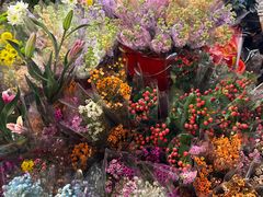-越秀西湖花市(广州城市广场花卉店)