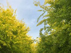 -洨河生态公园