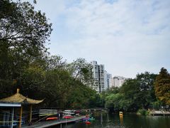 -晓港公园