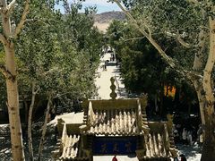 -敦煌莫高窟