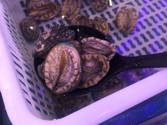 -澜悦港海鲜体验主题餐厅