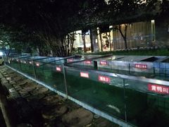 -天怡·鱼工厂(梅溪湖店)