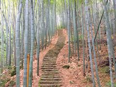 -龙坞茶村