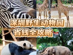 -深圳野生动物园
