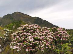 -终南山国家森林公园
