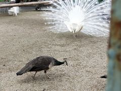 -韶关经律论国际酒店温泉