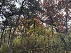 -北京十三陵国家森林公园蟒山景区