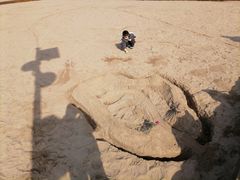 -渭河城市绿地运动公园