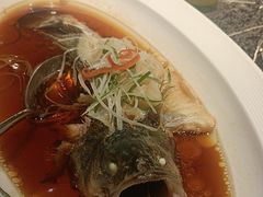 -悦百味·品质川菜(橄榄郡店)