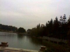 -三水森林公园