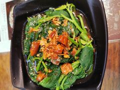 -明潭茶老爸