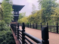 -大唐贡茶院
