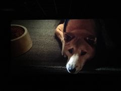 -汇金缪斯影城(八佰伴店)