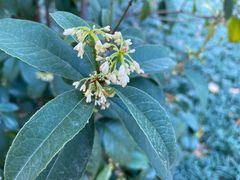 -广州神农草堂中医药博物馆