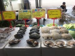 -蚝专家(北滘店)