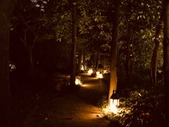 -上海虹桥迎宾馆
