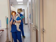 -凯特喵百思猫专科医院