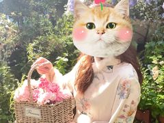 -Lamant Manor已闻花名關於藍