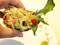 -叶叶菩提·晋福宫