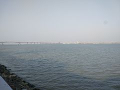 -大湾区中央湿地公园