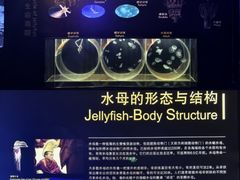 -上海海洋水族馆