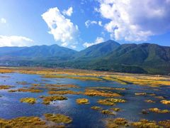 -腾冲北海湿地
