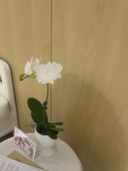 -广东韩妃整形外科医院