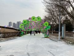 -沈阳奥体冰雪嘉年华