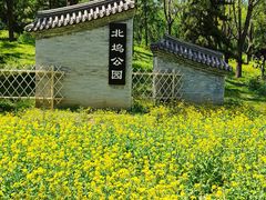-北坞公园